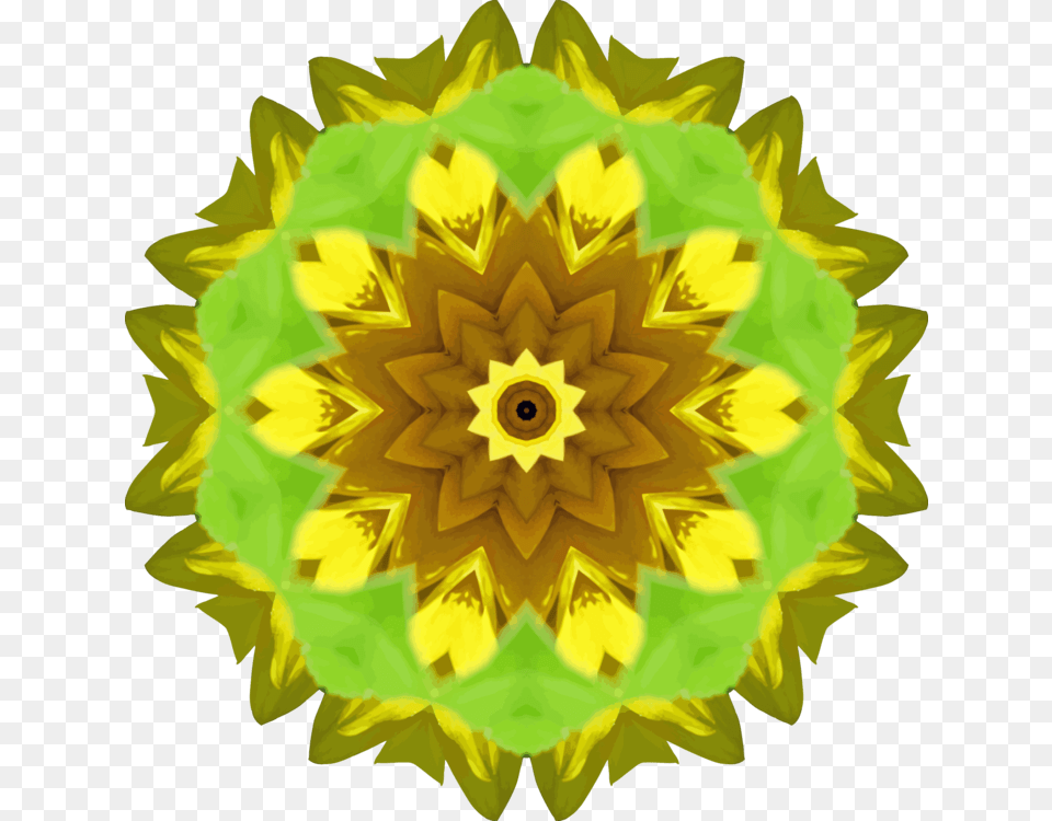 Sunflower Seedplantflower, Plant, Pattern, Flower, Pollen Png