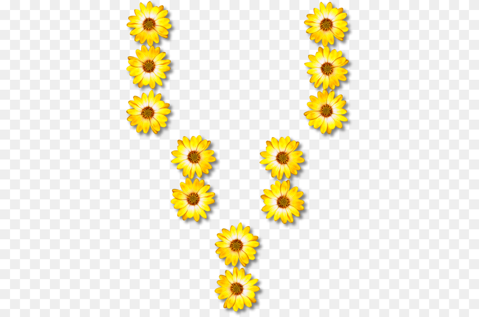 Sunflower Seedplantflower Sunflower Letters, Daisy, Flower, Petal, Plant Png