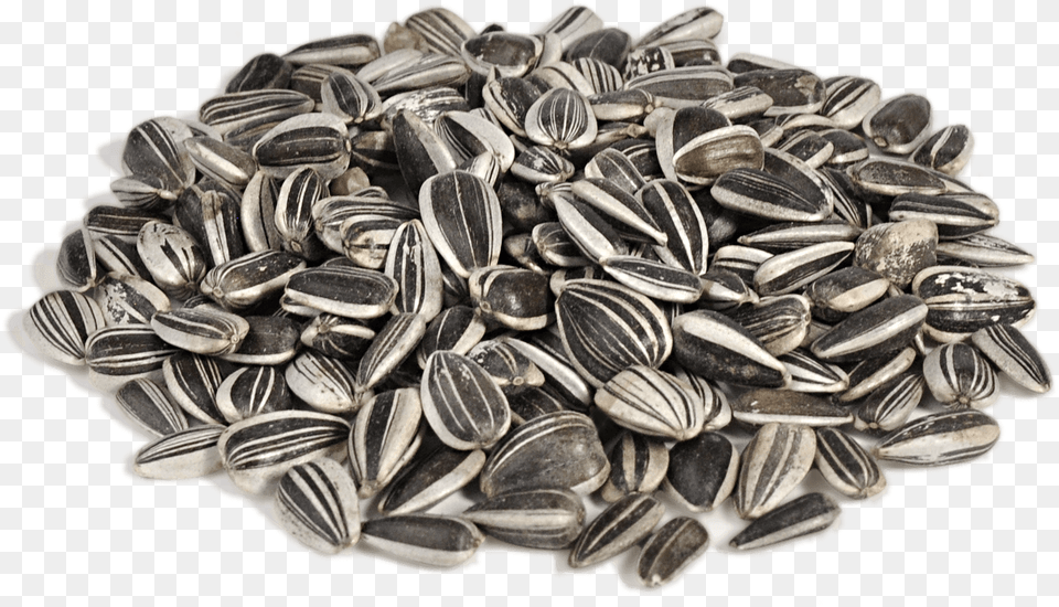 Sunflower Seeds, Food, Grain, Produce, Seed Png Image
