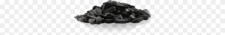 Sunflower Seeds, Food, Produce, Grain, Adult Png