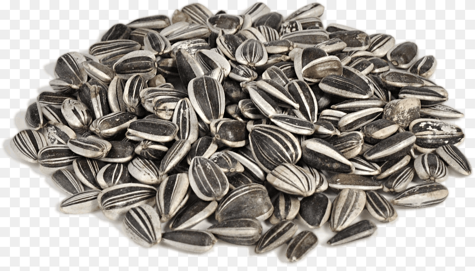 Sunflower Seeds, Food, Grain, Produce, Seed Free Transparent Png