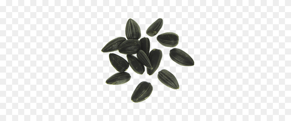 Sunflower Seeds, Food, Produce, Grain, Seed Free Transparent Png