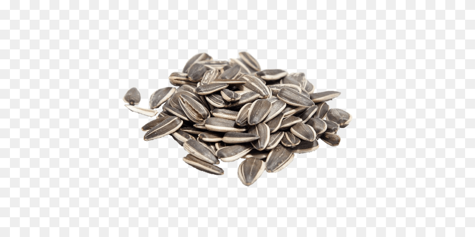 Sunflower Seeds, Food, Grain, Produce, Seed Png Image