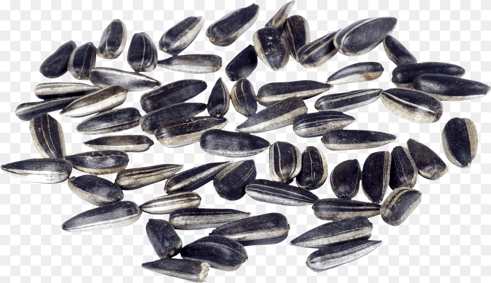 Sunflower Seeds Free Png