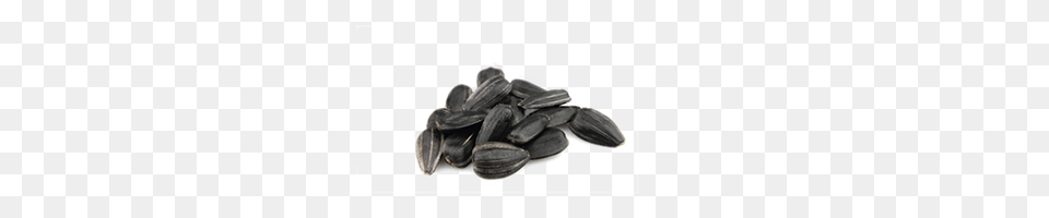 Sunflower Seeds, Food, Produce, Grain, Seed Free Png Download