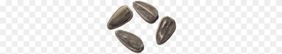 Sunflower Seeds, Food, Grain, Produce, Seed Png