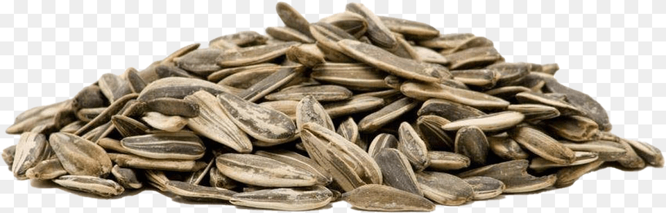 Sunflower Seeds, Food, Produce, Grain, Seed Free Png Download