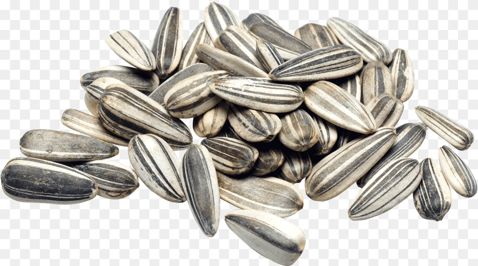 Sunflower Seeds, Food, Grain, Produce, Seed Png