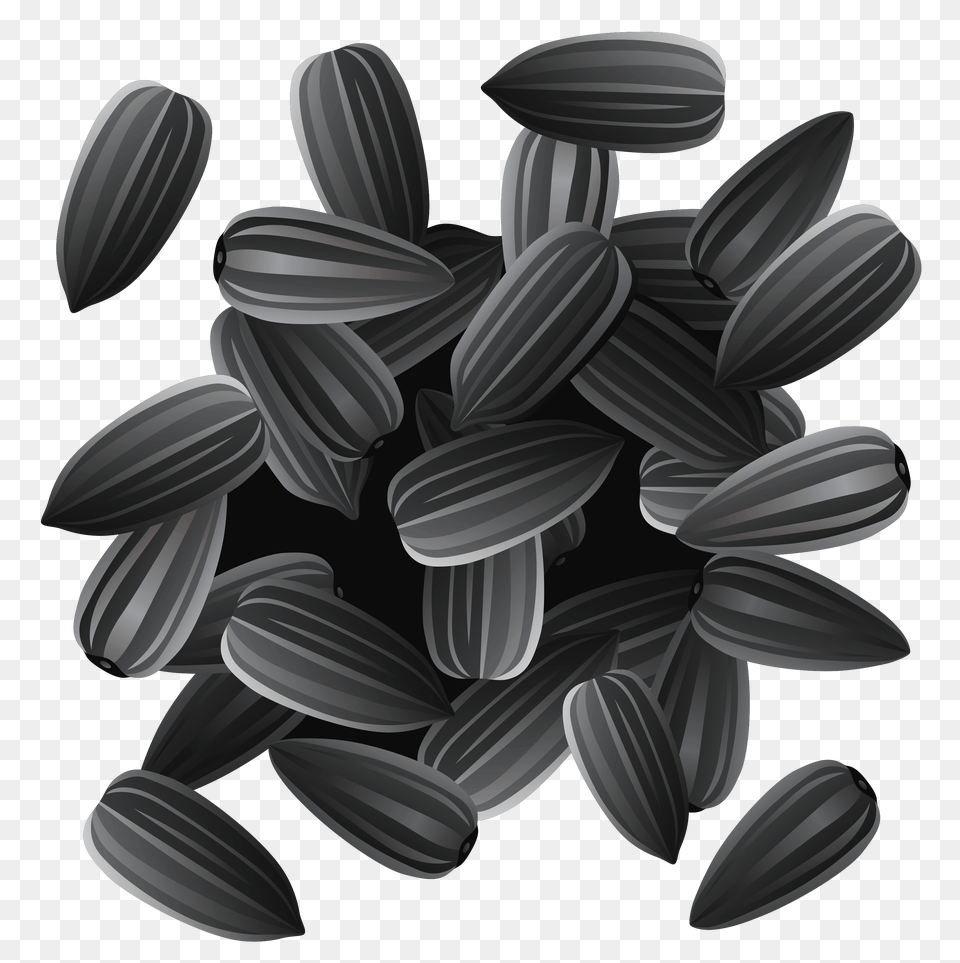 Sunflower Seeds, Food, Grain, Produce, Animal Free Png