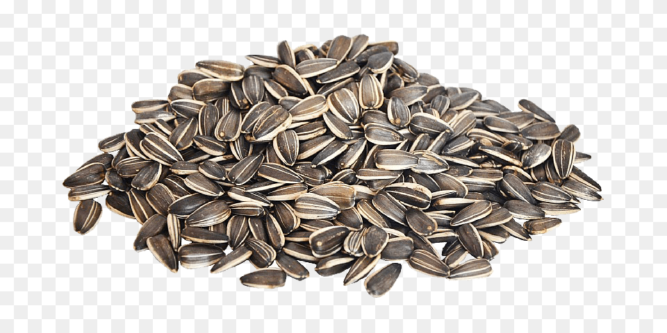 Sunflower Seeds, Food, Grain, Produce, Seed Png Image