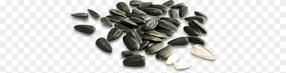 Sunflower Seeds, Food, Produce, Grain, Seed Free Png