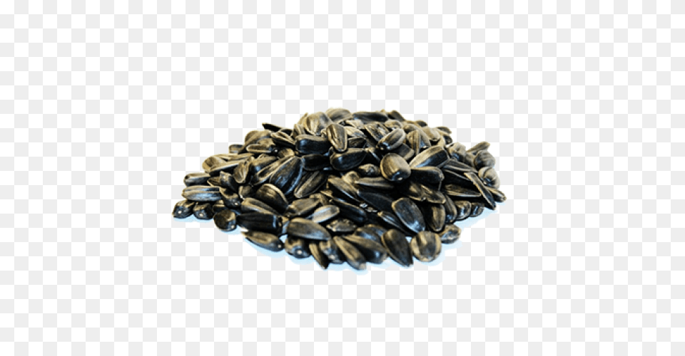 Sunflower Seeds, Food, Produce, Grain, Seed Png
