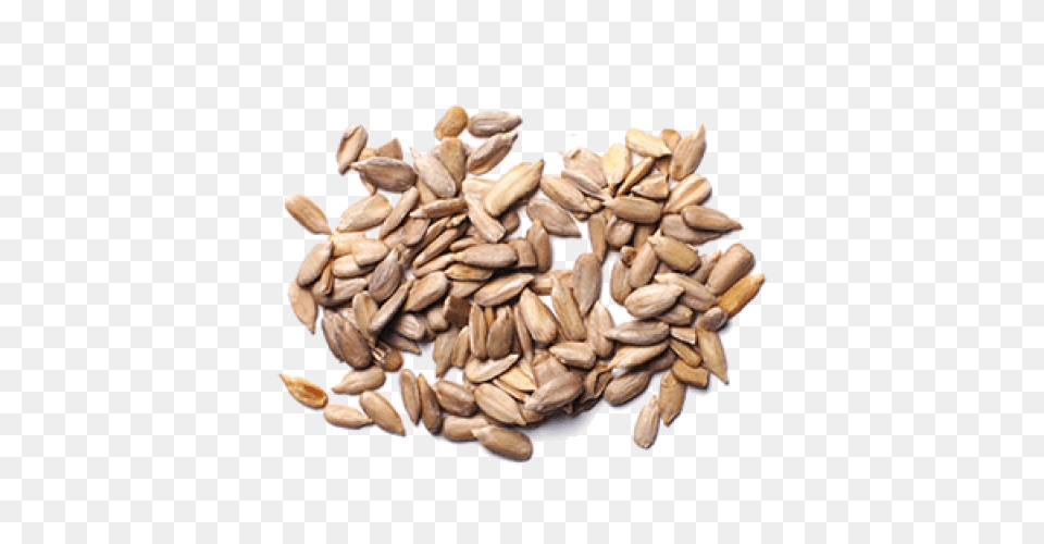 Sunflower Seeds, Food, Produce, Grain, Wheat Png