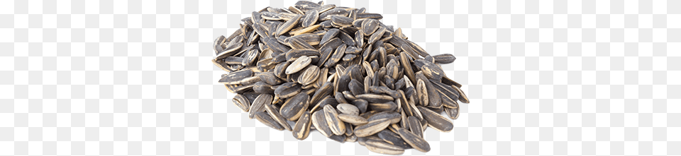 Sunflower Seeds, Food, Grain, Produce, Seed Free Png Download