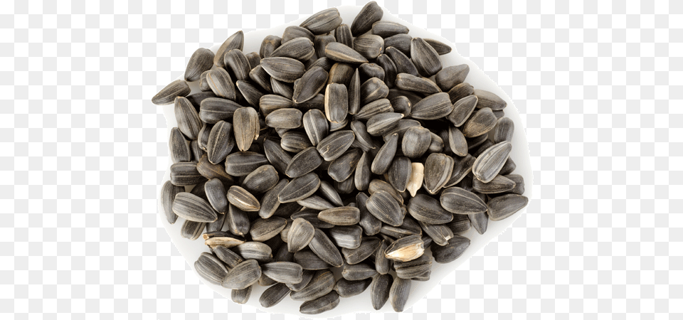 Sunflower Seeds, Food, Grain, Plant, Produce Free Png Download