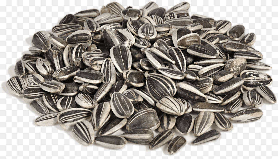 Sunflower Seeds Image For Sunflower Seeds Background, Food, Grain, Produce, Seed Free Transparent Png