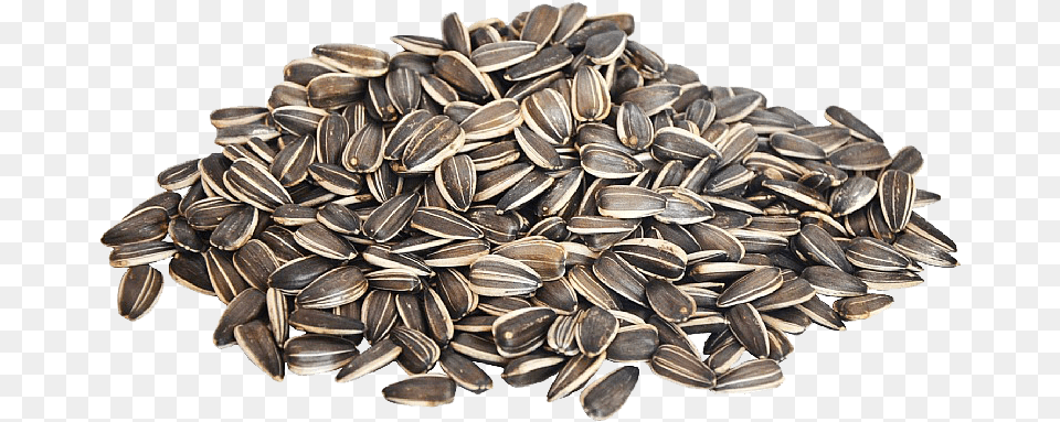 Sunflower Seeds Image Sunflower Seed Transparent, Food, Grain, Produce, Chandelier Free Png Download