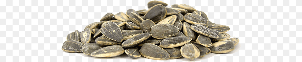 Sunflower Seeds Images All Sunflower Seed, Food, Produce, Grain Free Png Download