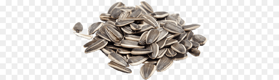 Sunflower Seeds Images Transparent Background Play Sunflower Seed, Food, Grain, Produce, Animal Png