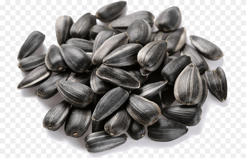 Sunflower Seeds All Sunflower Seeds, Food, Produce, Grain, Plant Free Transparent Png