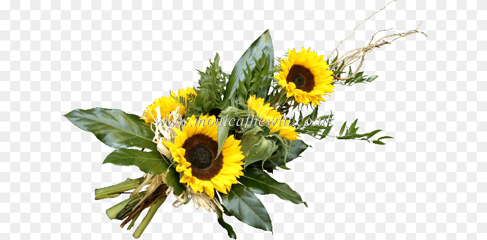 Sunflower Sheaf Monica F Hewitt Bouquet, Flower, Flower Arrangement, Flower Bouquet, Plant Free Png Download