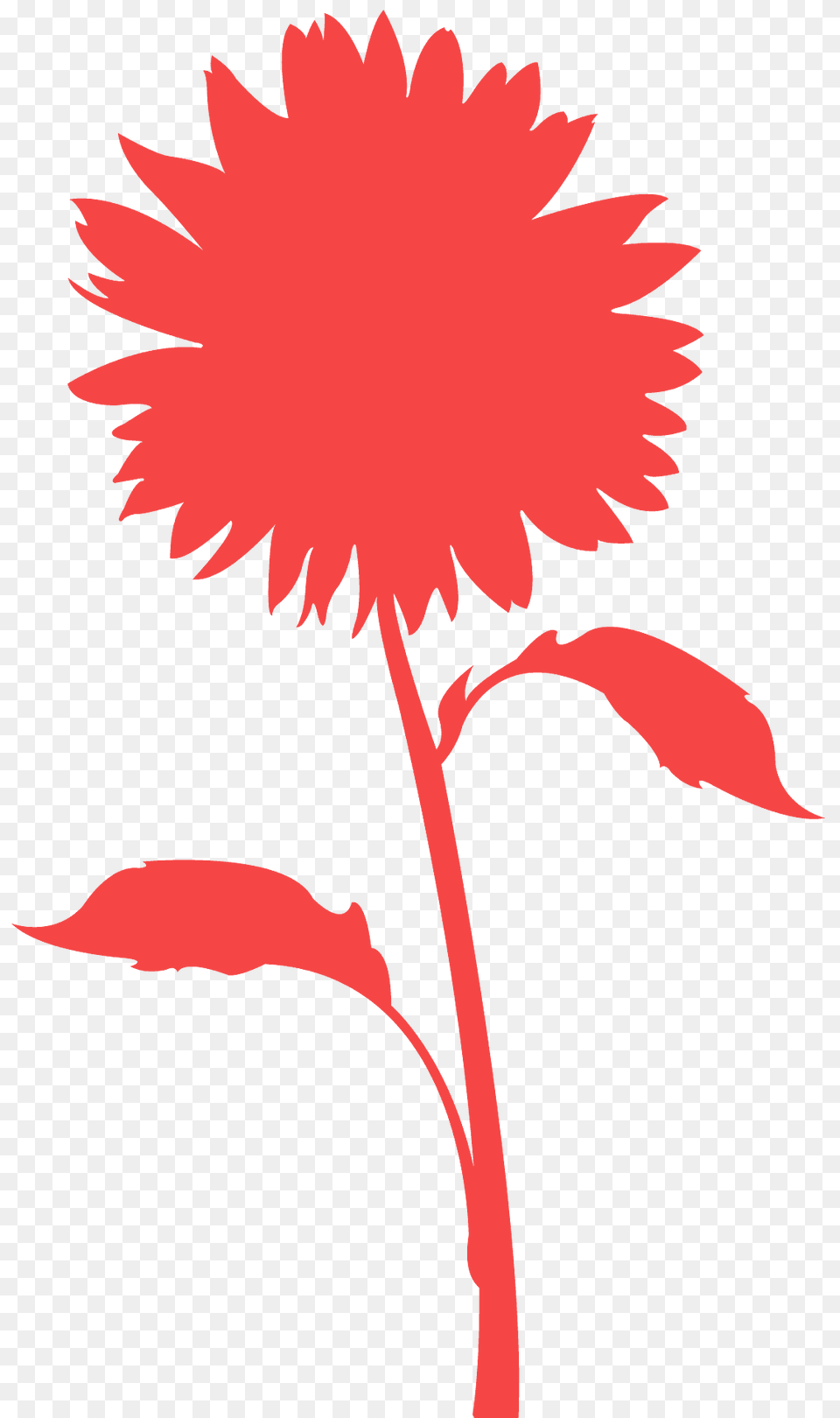 Sunflower Silhouette, Flower, Dahlia, Daisy, Plant Free Png