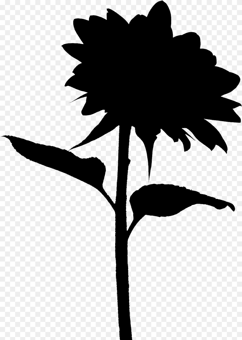Sunflower Silhouette Transparent Background Sunflower, Gray Free Png