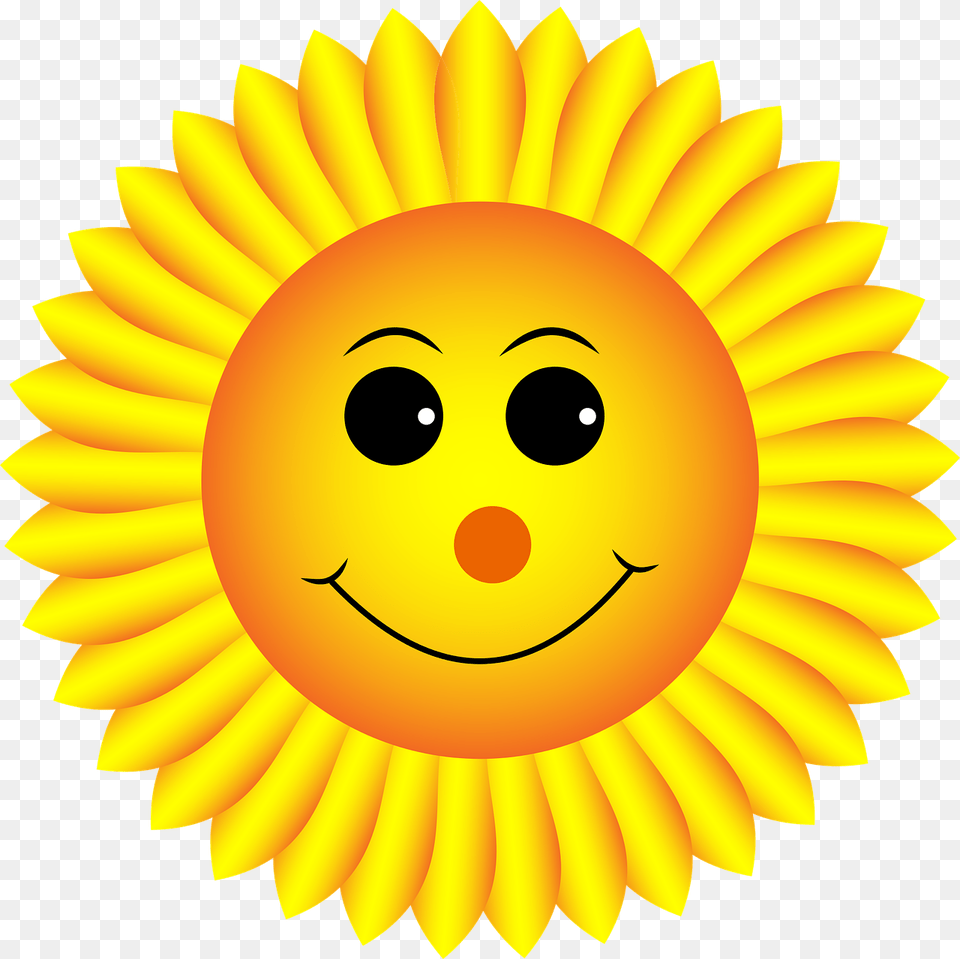 Sunflower Smiley Face Smile Sunflower, Flower, Plant, Outdoors, Daisy Free Transparent Png