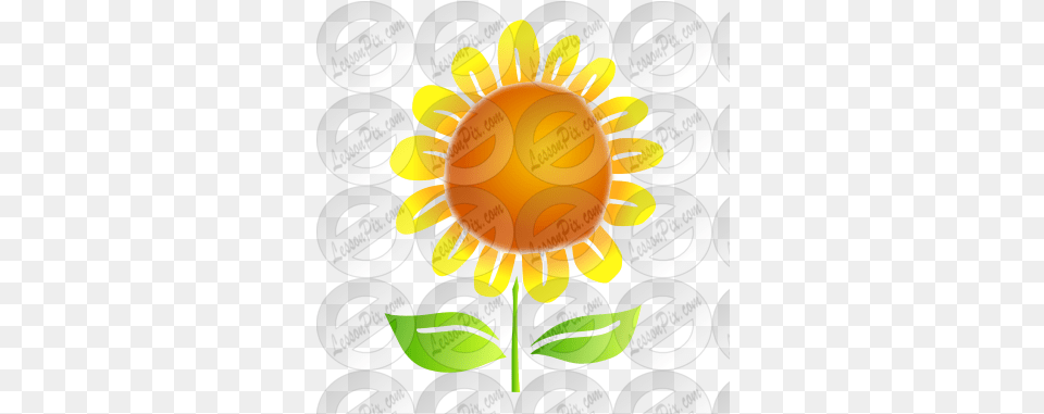 Sunflower Stencil For Classroom Therapy Use Great For Cricket, Flower, Plant, Can, Tin Free Png
