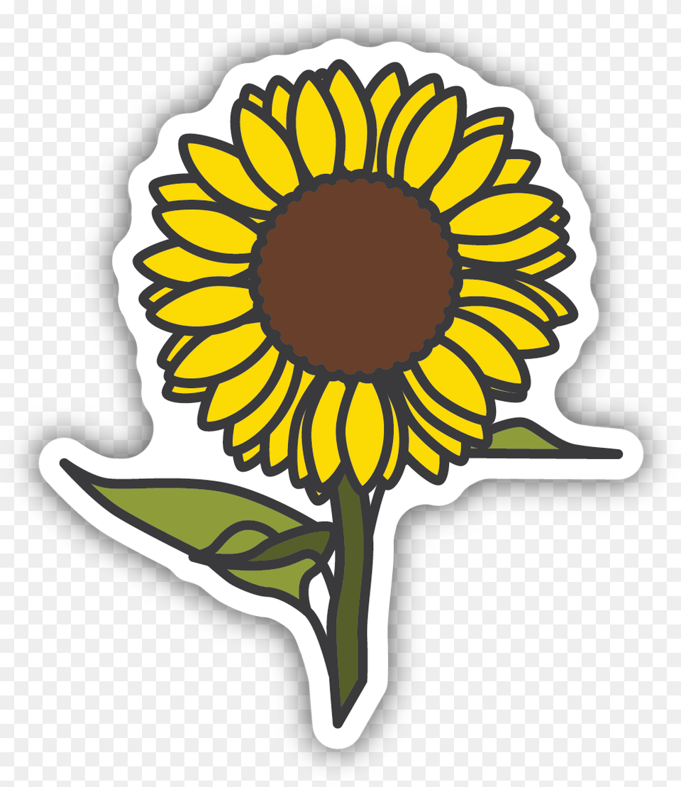 Sunflower Sticker Sunflower Sticker, Flower, Plant, Dynamite, Weapon Free Transparent Png