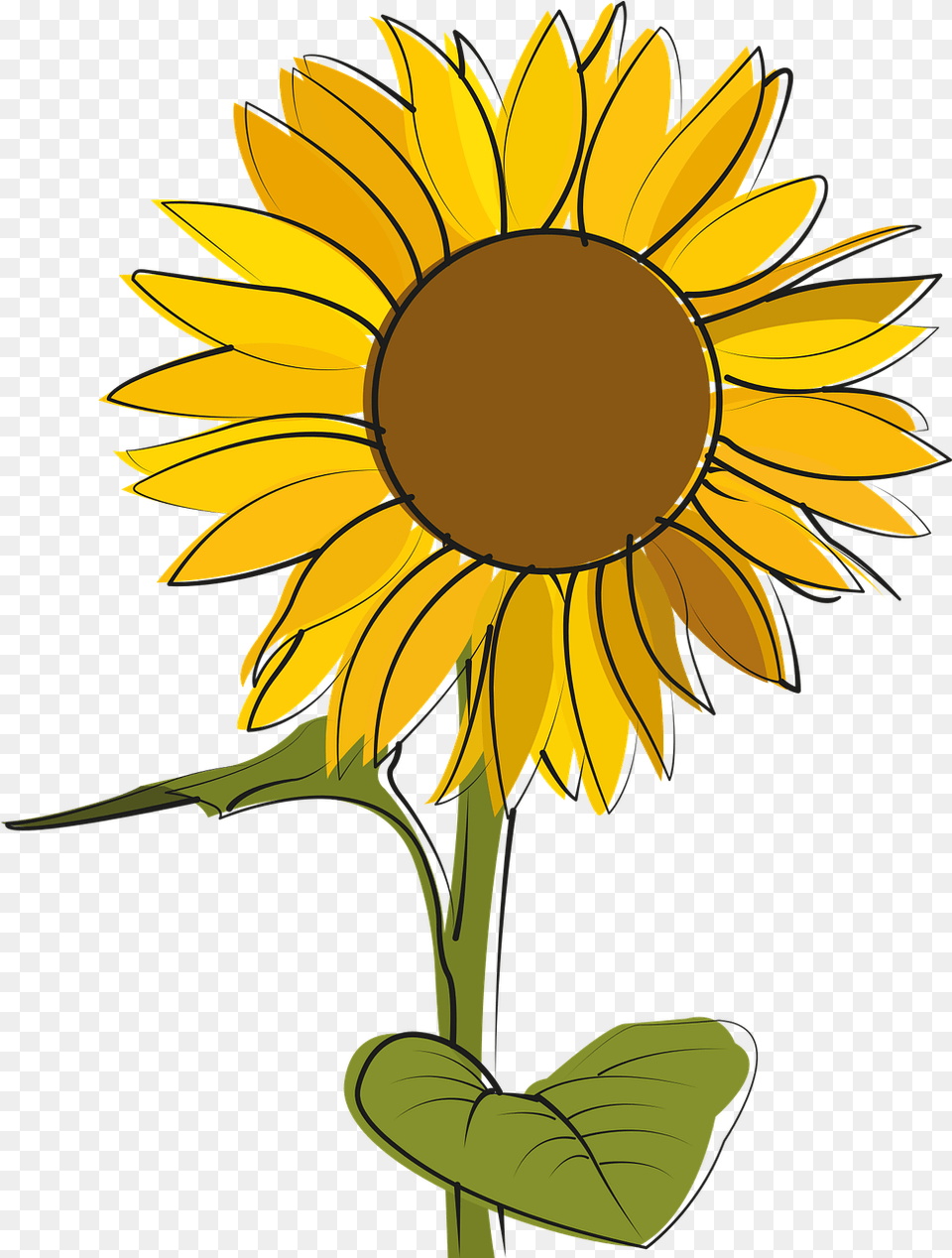 Sunflower Sun Flowers Vector Graphic On Pixabay Sonnenblume Clipart Kostenlos, Flower, Plant Free Png Download