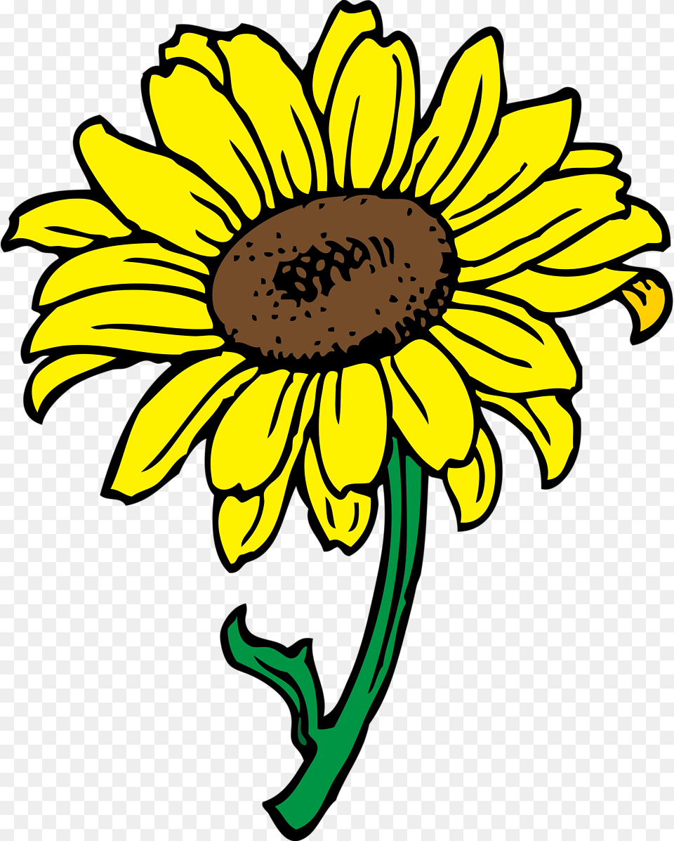 Sunflower Sunflower Flower Clip Art, Daisy, Plant Free Transparent Png