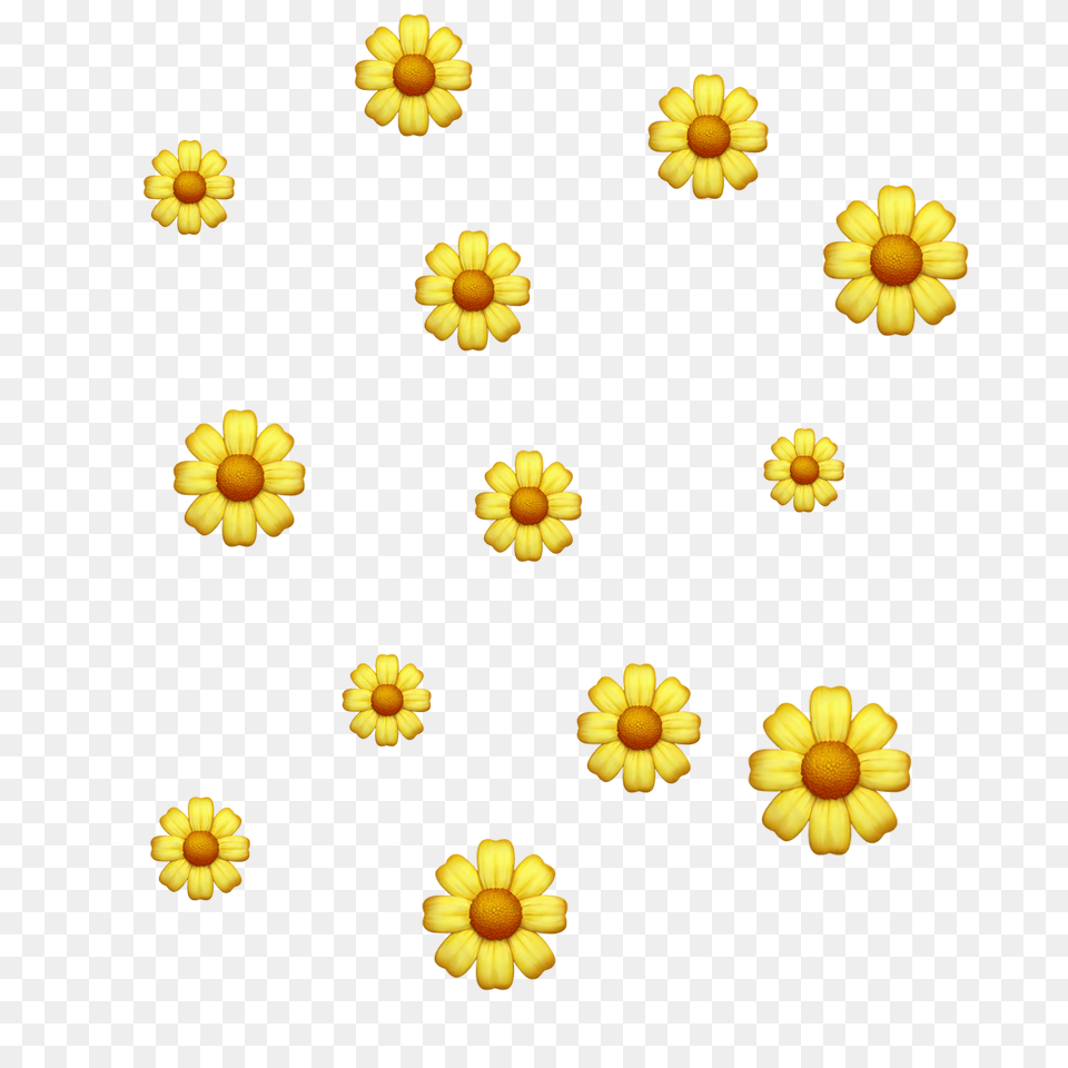 Sunflower Sunfloweremoji Sunflower Emoji Flower Emoji, Daisy, Petal, Plant Free Transparent Png
