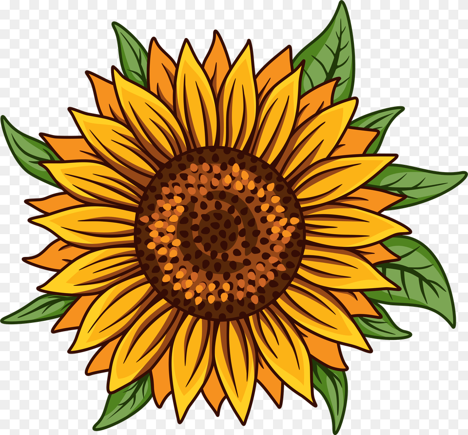 Sunflower Svg White Fresh, Flower, Plant Free Png