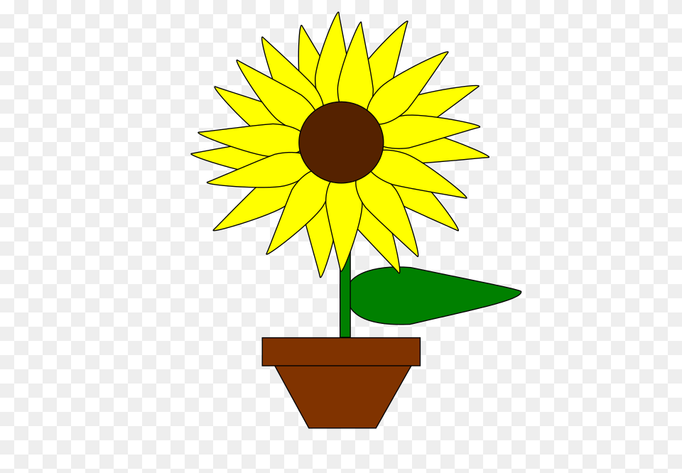 Sunflower T, Flower, Plant Free Png Download