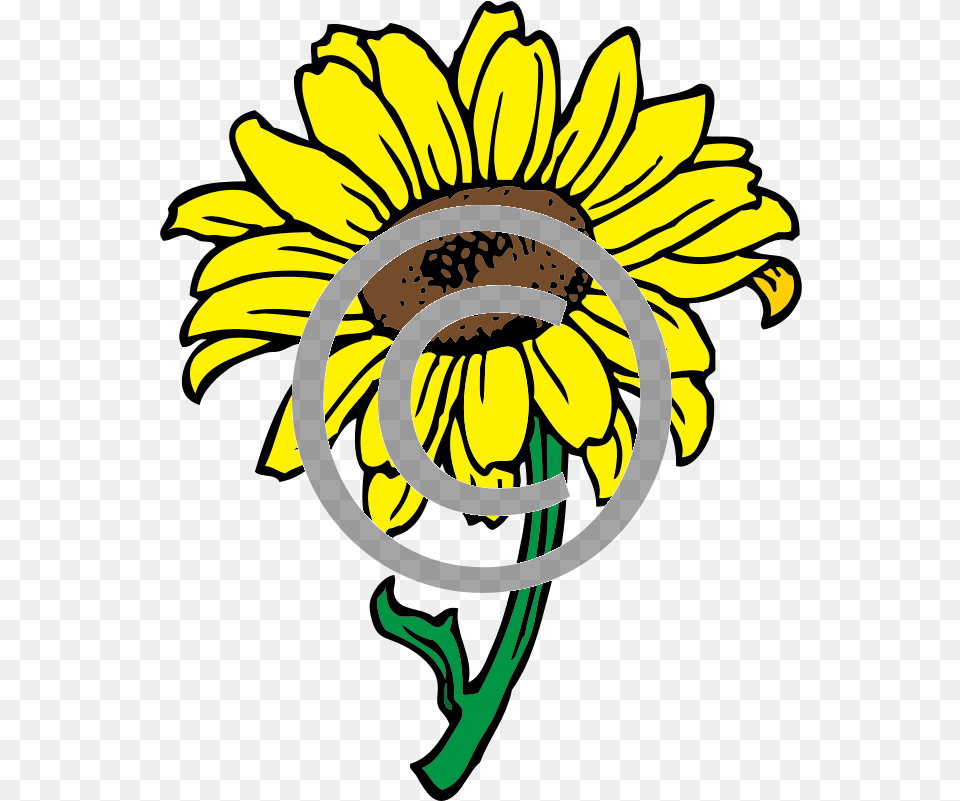 Sunflower U2013 Tigerstock Black And White Sunflower Clipart, Daisy, Flower, Plant, Petal Free Png