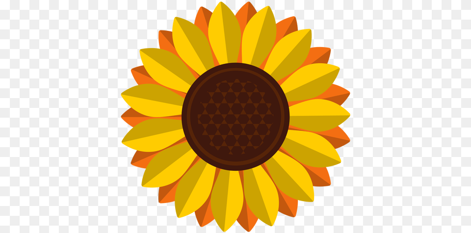 Sunflower Vector Transparent Free Bluetop, Dahlia, Flower, Plant, Daisy Png