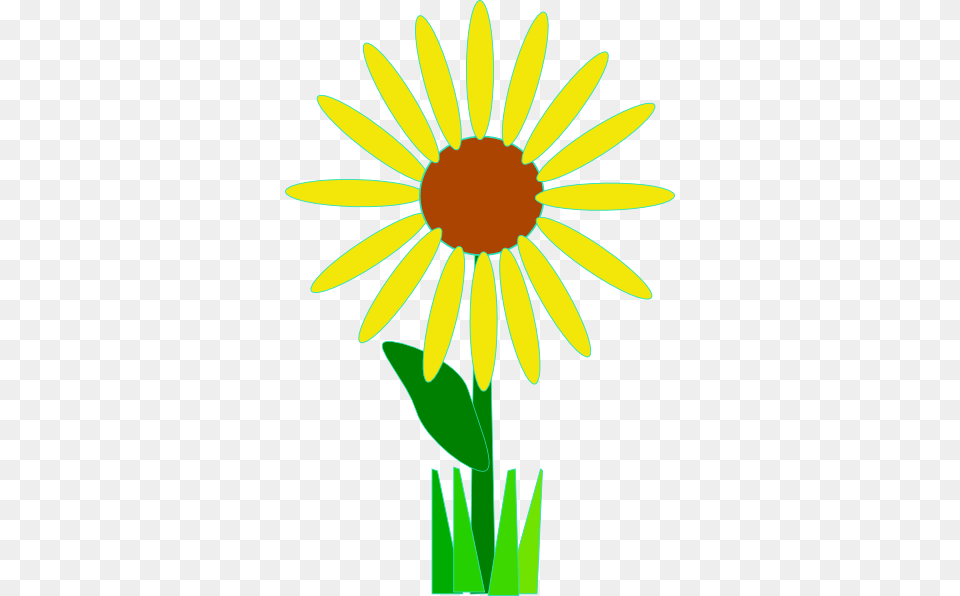Sunflower With Grass Clip Arts For Web, Daisy, Flower, Plant, Petal Png Image