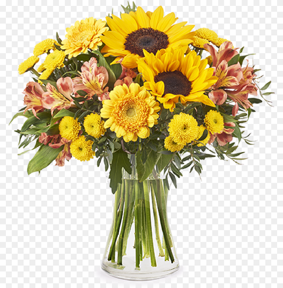 Sunflowers Amp Chrysanthemums Sunflower In Mason Jar, Flower, Flower Arrangement, Flower Bouquet, Plant Png