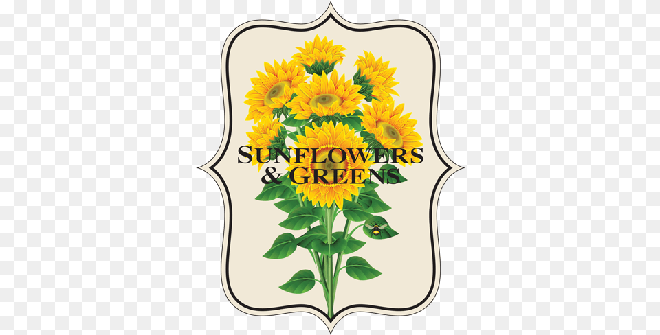 Sunflowers And Greens Sunflower, Flower, Plant Free Transparent Png