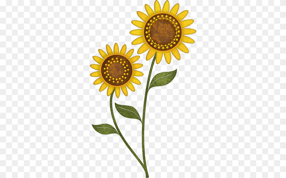 Sunflowers Clip Art, Daisy, Flower, Plant, Sunflower Png Image