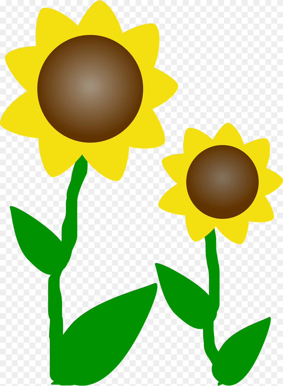 Sunflowers Clipart, Flower, Plant, Sunflower, Daisy Free Png Download