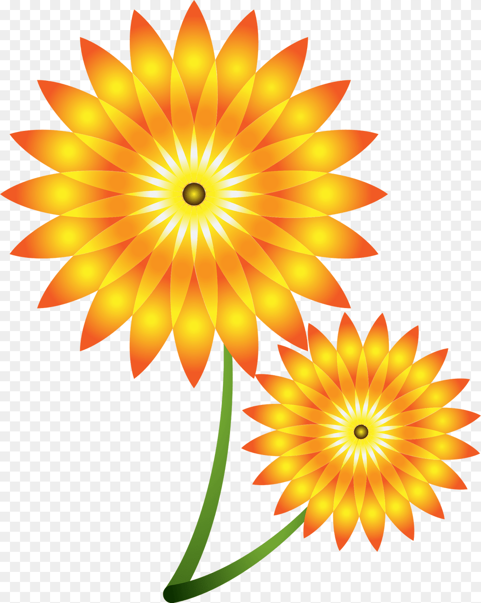 Sunflowers Clipart, Dahlia, Daisy, Flower, Plant Png Image