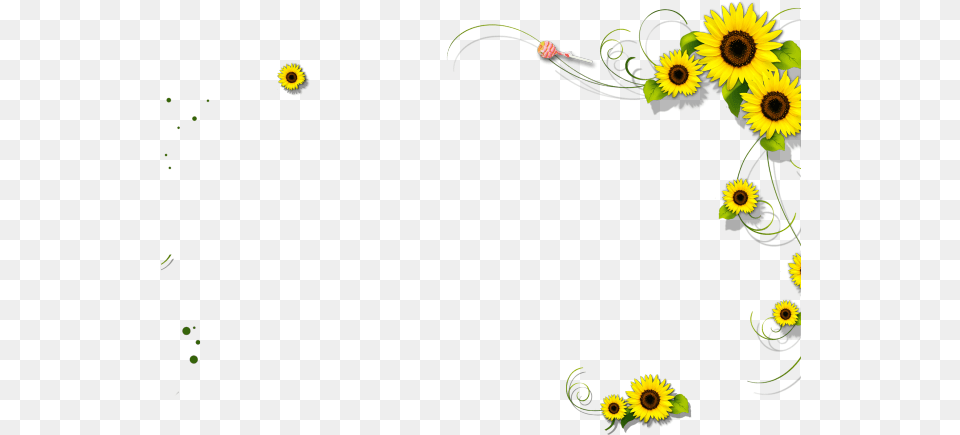 Sunflowers Clipart Border Clipart Borders Transparent Background, Art, Floral Design, Flower, Graphics Free Png Download