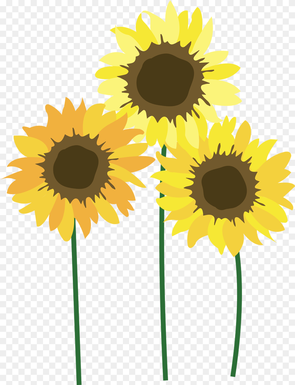 Sunflowers Clipart Transparent Background Sunflower, Flower, Plant Free Png Download