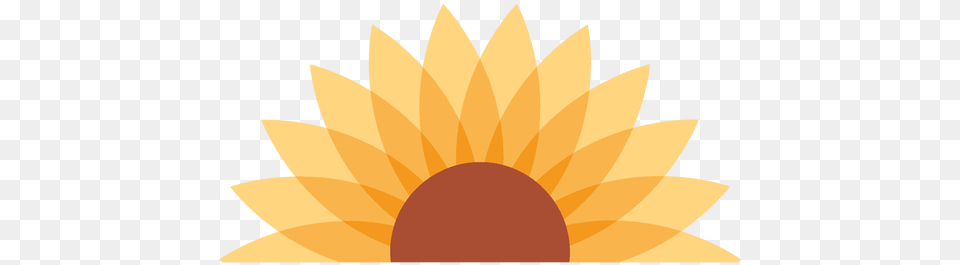 Sunflowers Creative Pto Updates, Flower, Plant, Sunflower, Daisy Free Png Download