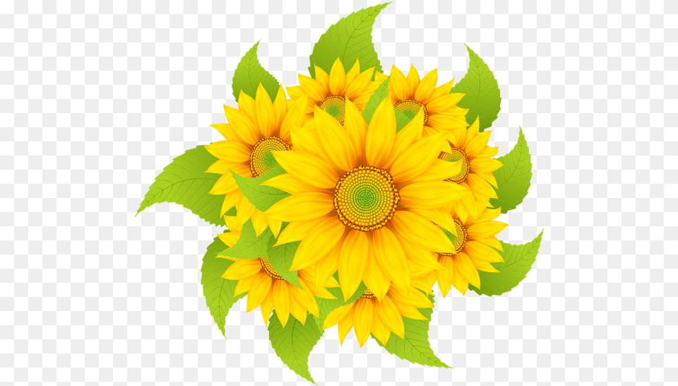 Sunflowers Decoration Clipart Image Bordado De Coruja Clip Art, Flower, Plant, Sunflower Png