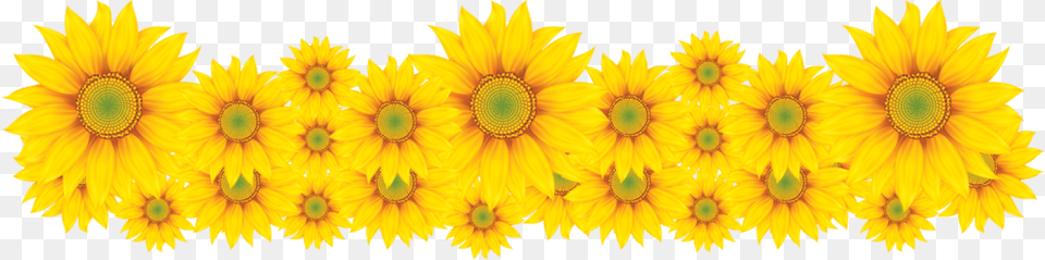 Sunflowers Frozen Fever Frozen Fever Flower, Plant, Sunflower Free Transparent Png