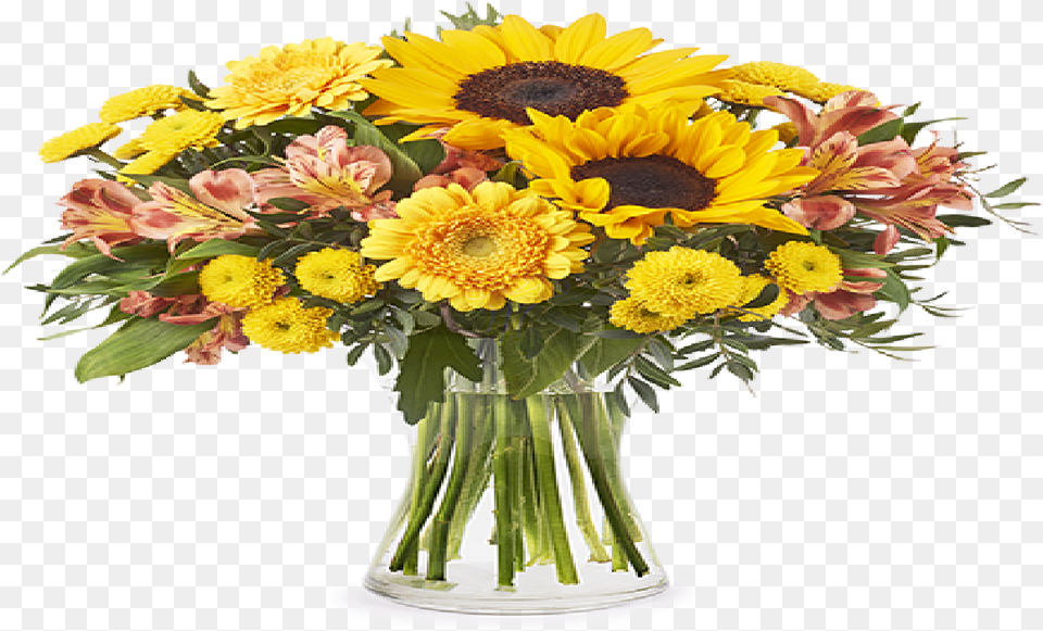Sunflowers In Mason Jar, Flower, Flower Arrangement, Flower Bouquet, Plant Free Png