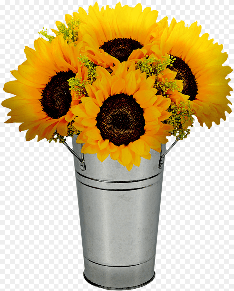 Sunflowers In Pot Flower Image On Pixabay, Flower Arrangement, Flower Bouquet, Plant, Sunflower Free Transparent Png
